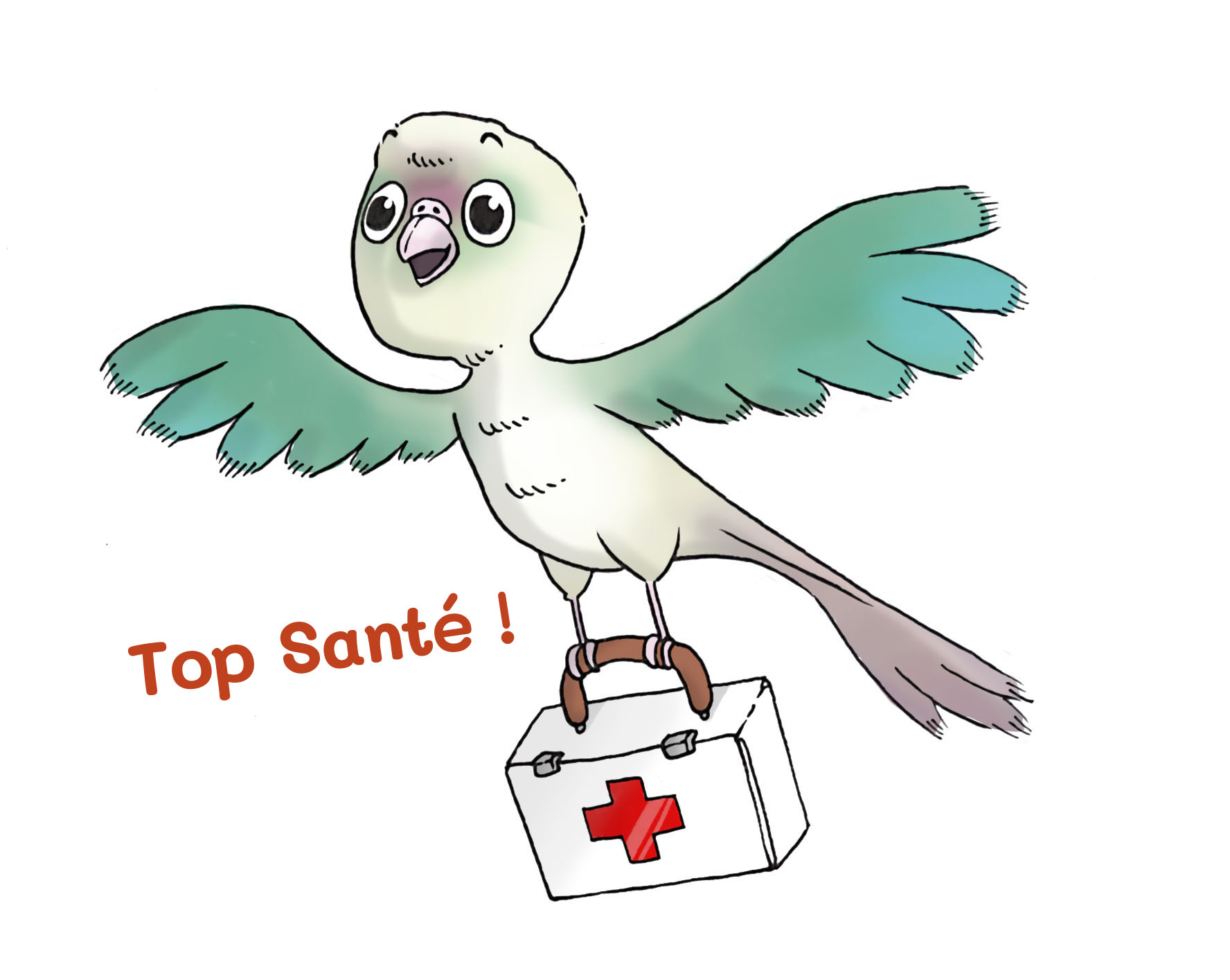 perruche-secouriste1 perruche-secouriste1