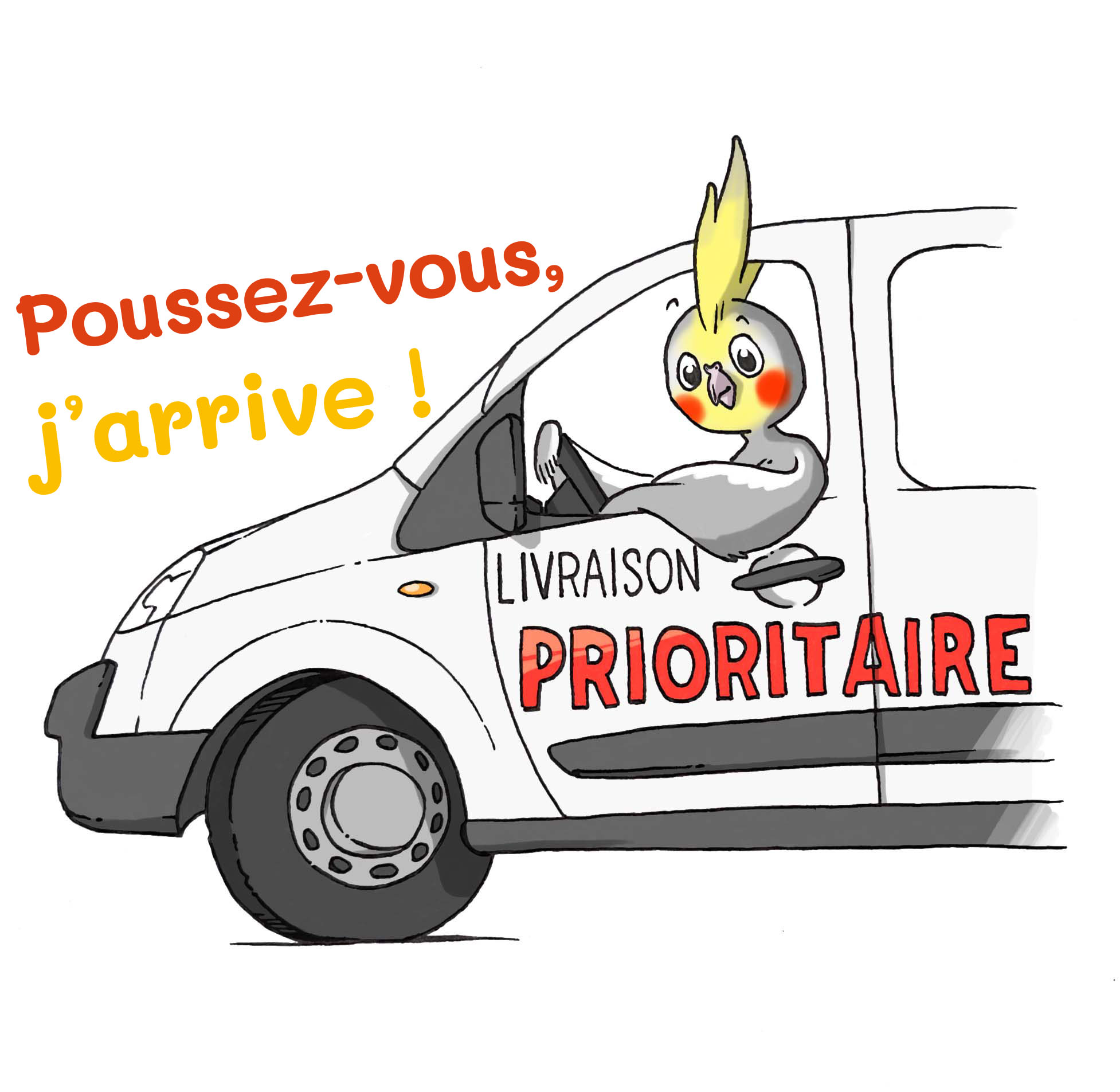 perruches-livreur1 perruches-livreur1