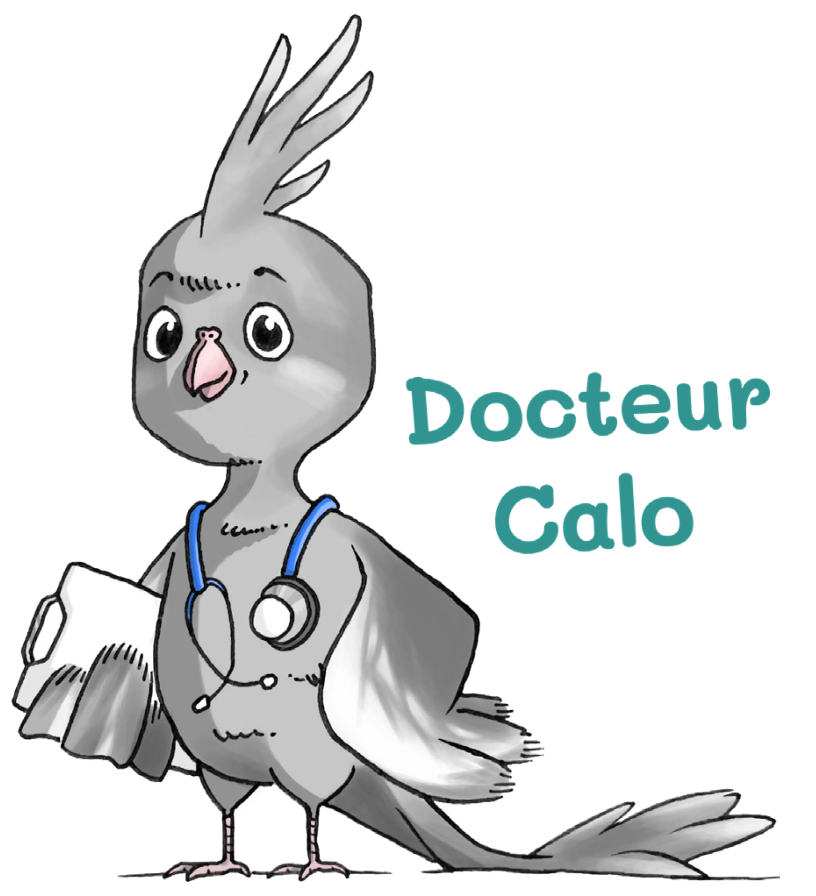 docteur-calo-bricoleur- docteur-calo-bricoleur-