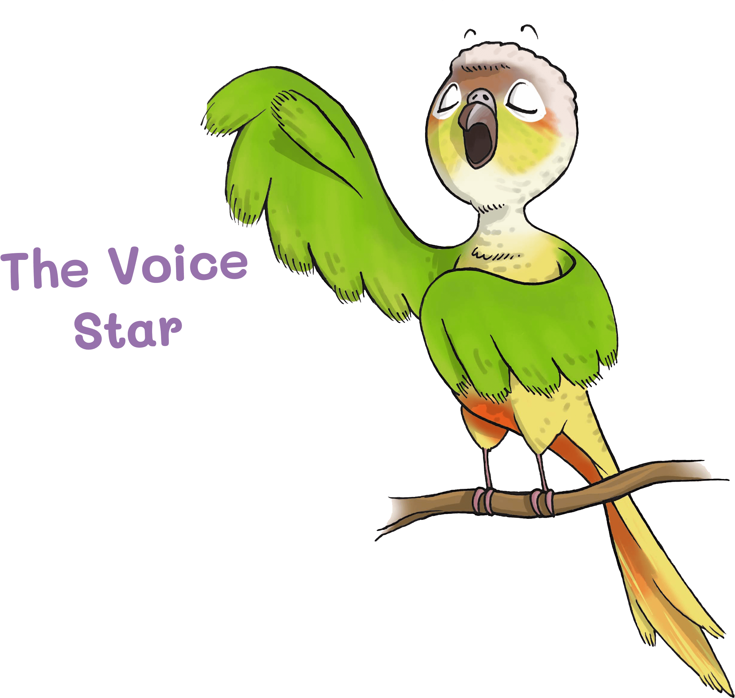 perruches-chanteuse perruches-chanteuse