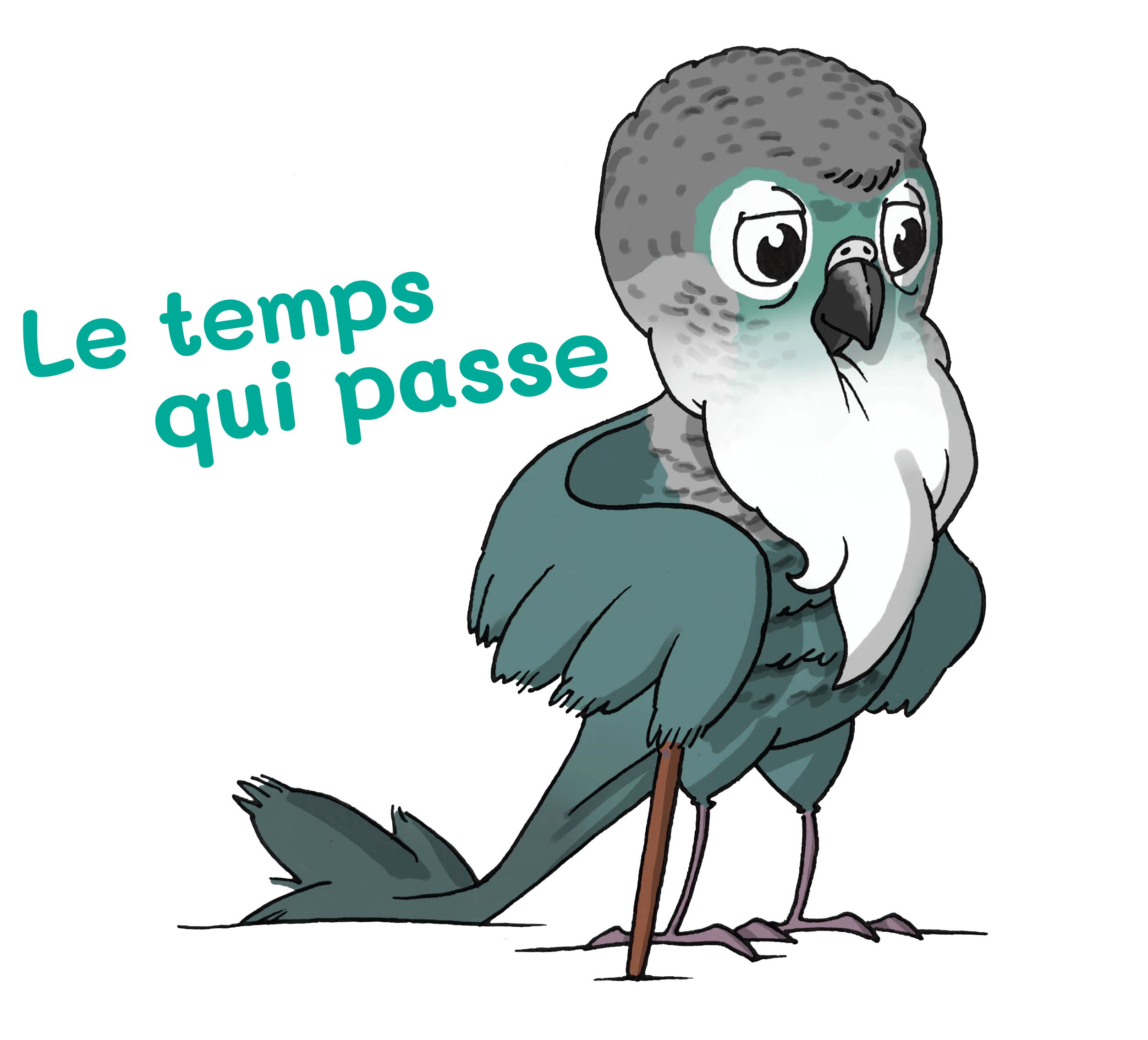 Perruches-vieux Perruches-vieux